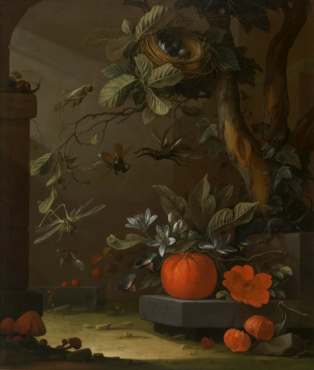Vivat Rex tekijältä Elias van den Broeck