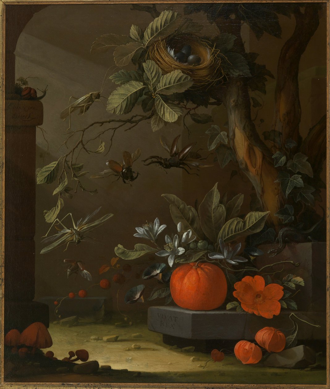 Vivat Rex tekijältä Elias van den Broeck