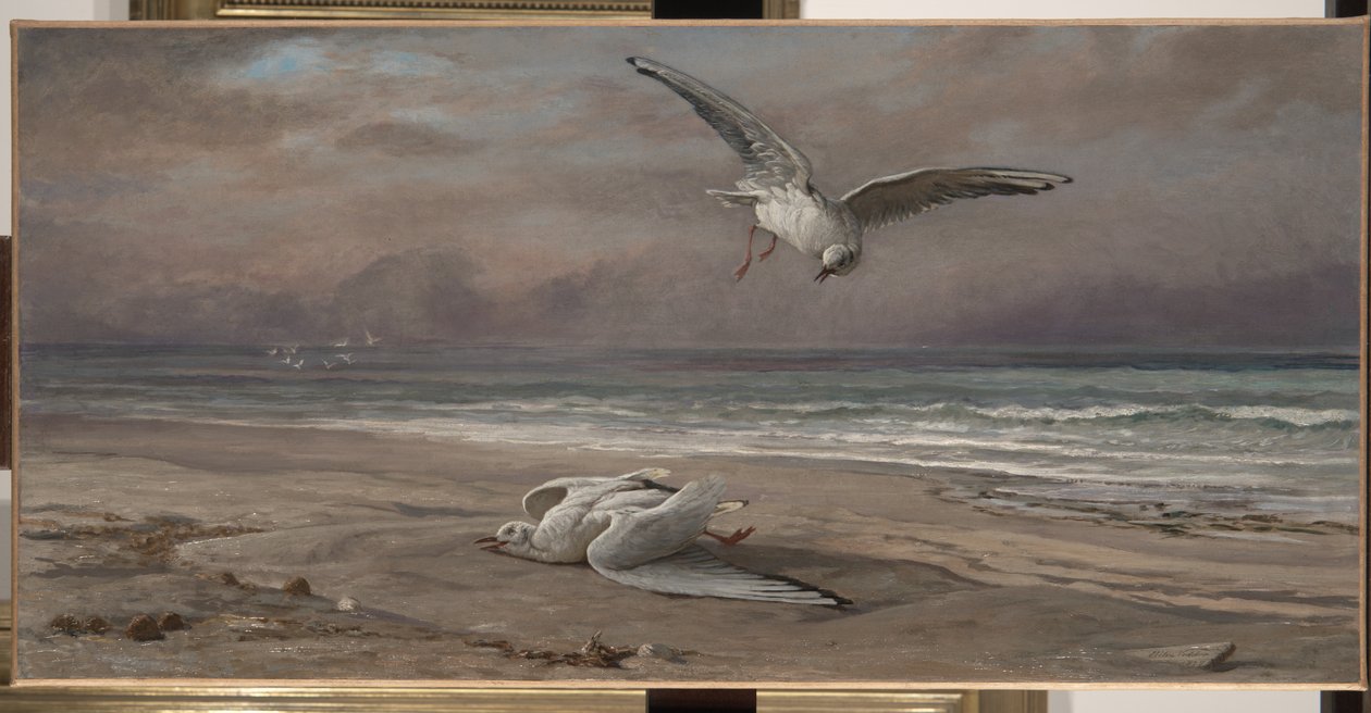 Kuoleva merilokki, 1879 tekijältä Elihu Vedder