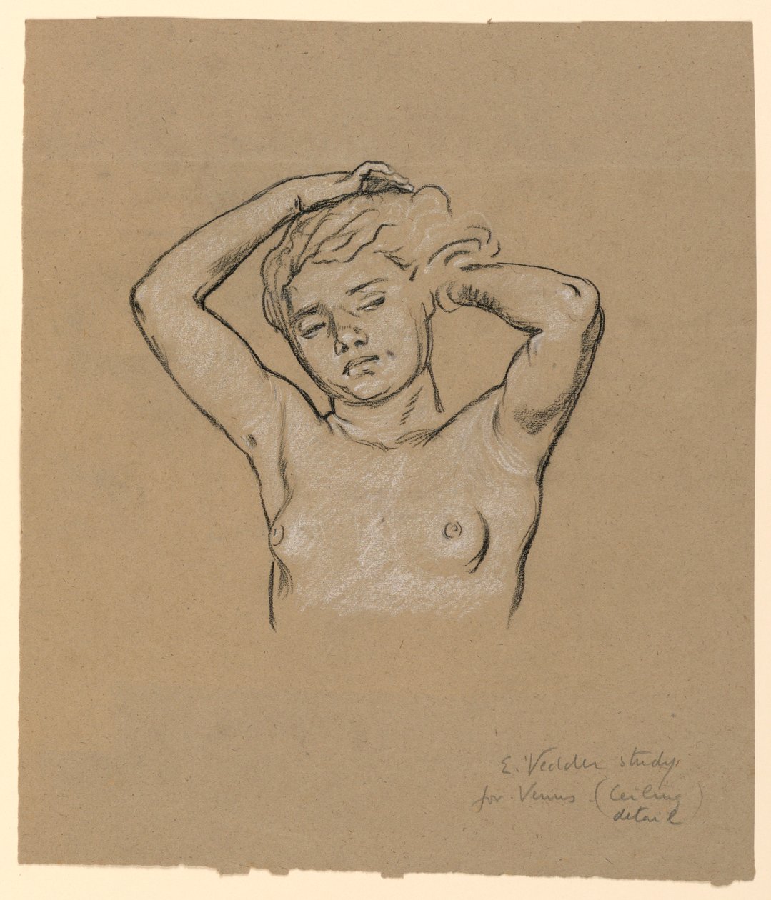 Piirros, luonnos "Venus", n. 1885. tekijältä Elihu Vedder