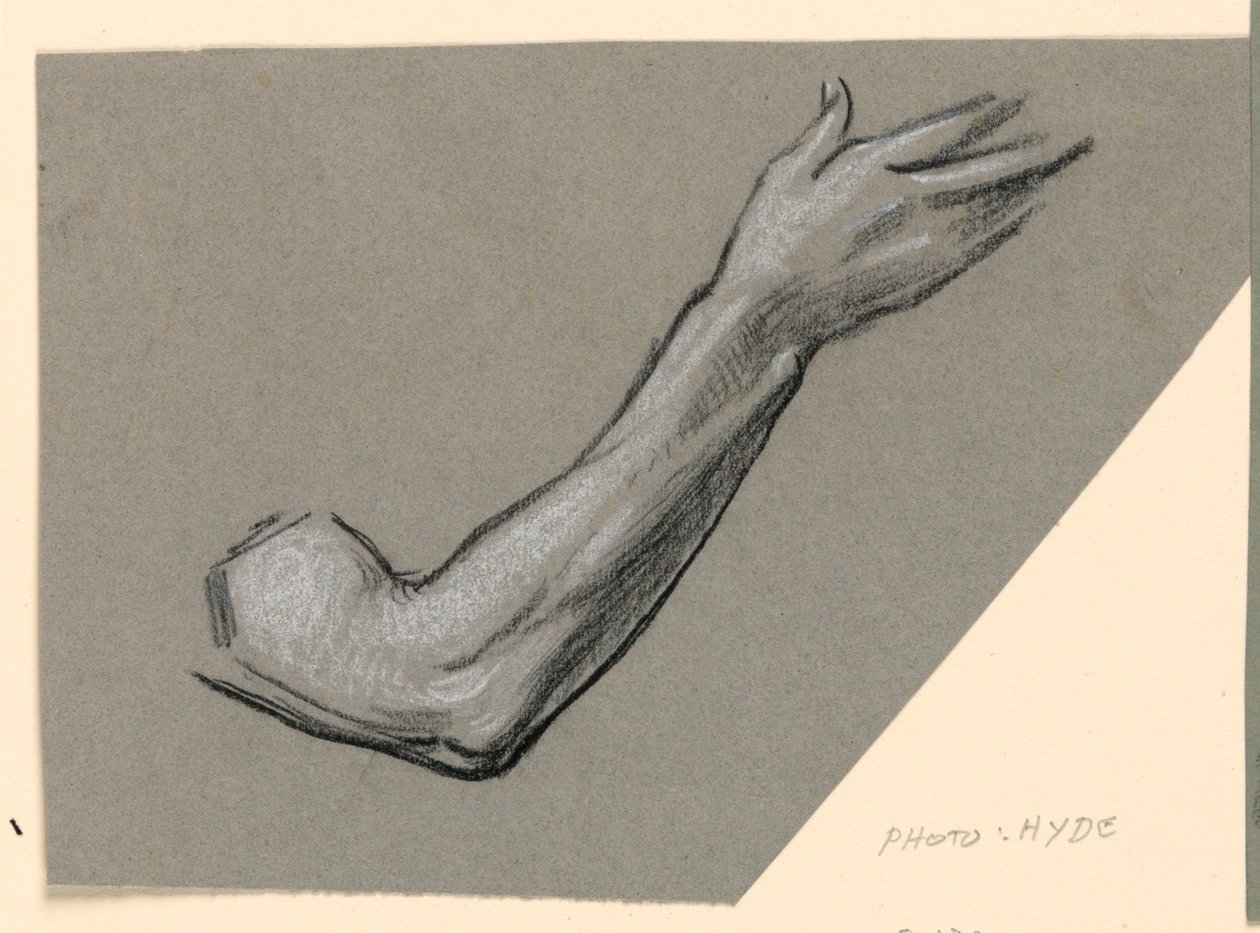 Piirustus, yksityiskohta käsivarresta, n. 1885 tekijältä Elihu Vedder
