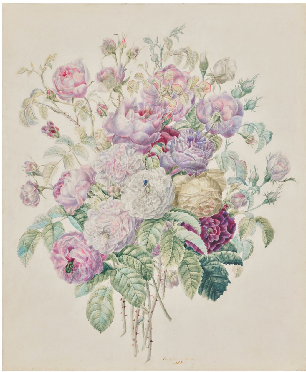 Bourbon-ruusukimppu tekijältä Elisa-Emilie Lemire