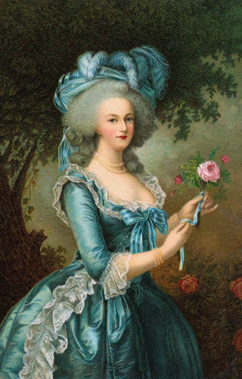 Muotokuva Marie-Antoinettesta ruusun kanssa tekijältä Elisabeth Louise (after) Vigee Lebrun