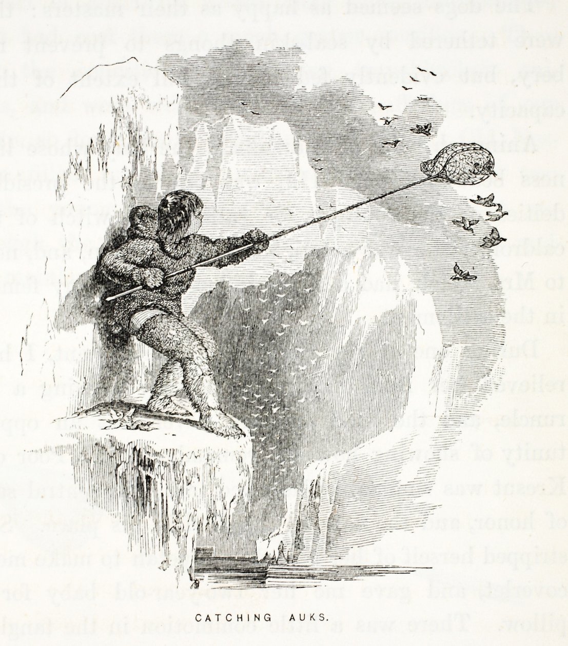 Auksin kiinni saaminen, kuvitus teoksesta "Toinen Grinnell-retkikunta Sir John Franklinia etsimässä...", 1856 tekijältä Elisha Kane