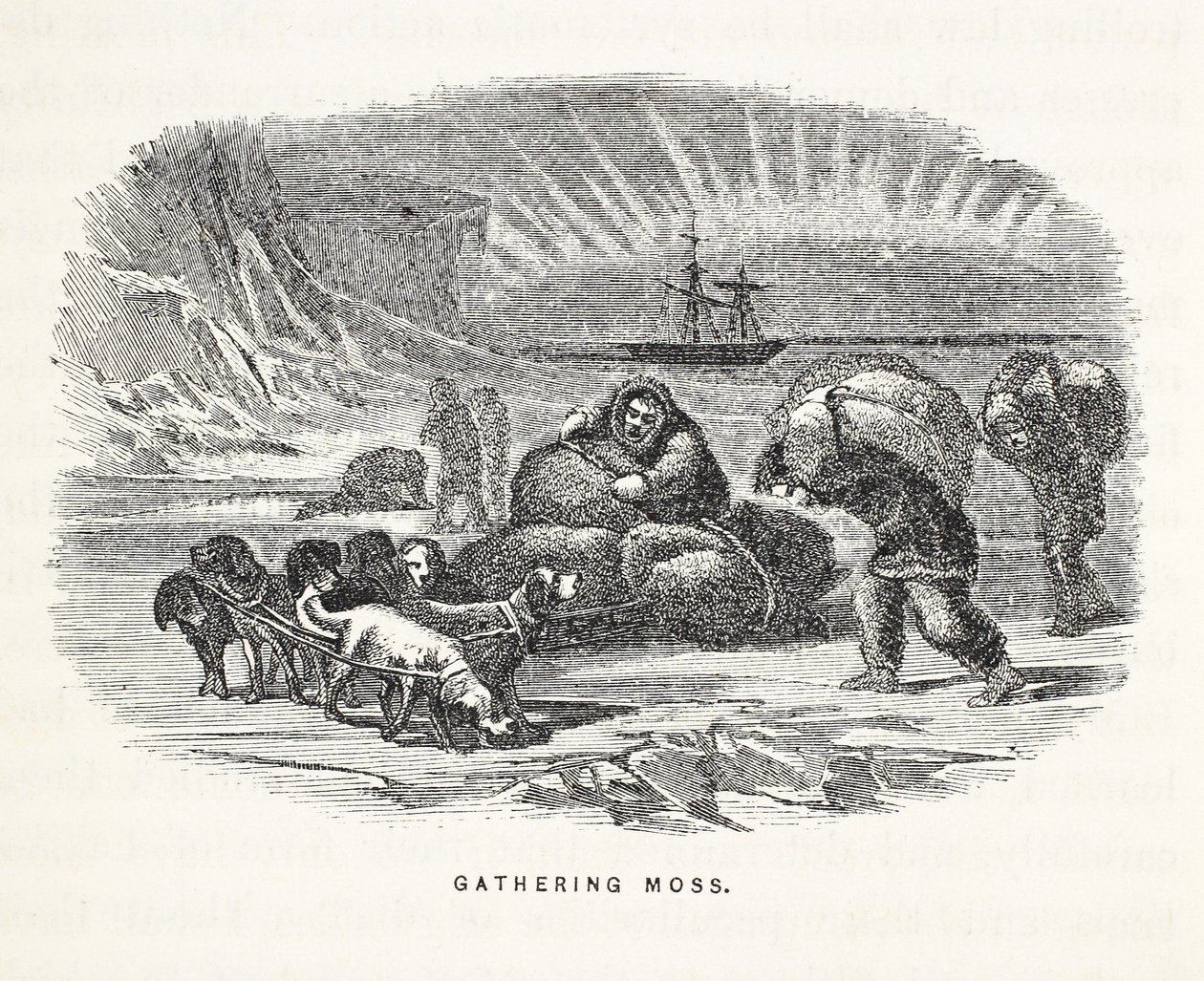 Gathering Moss, kuvitus teoksesta "Toinen Grinnell-retkikunta Sir John Franklinia etsimässä...", 1856 tekijältä Elisha Kane