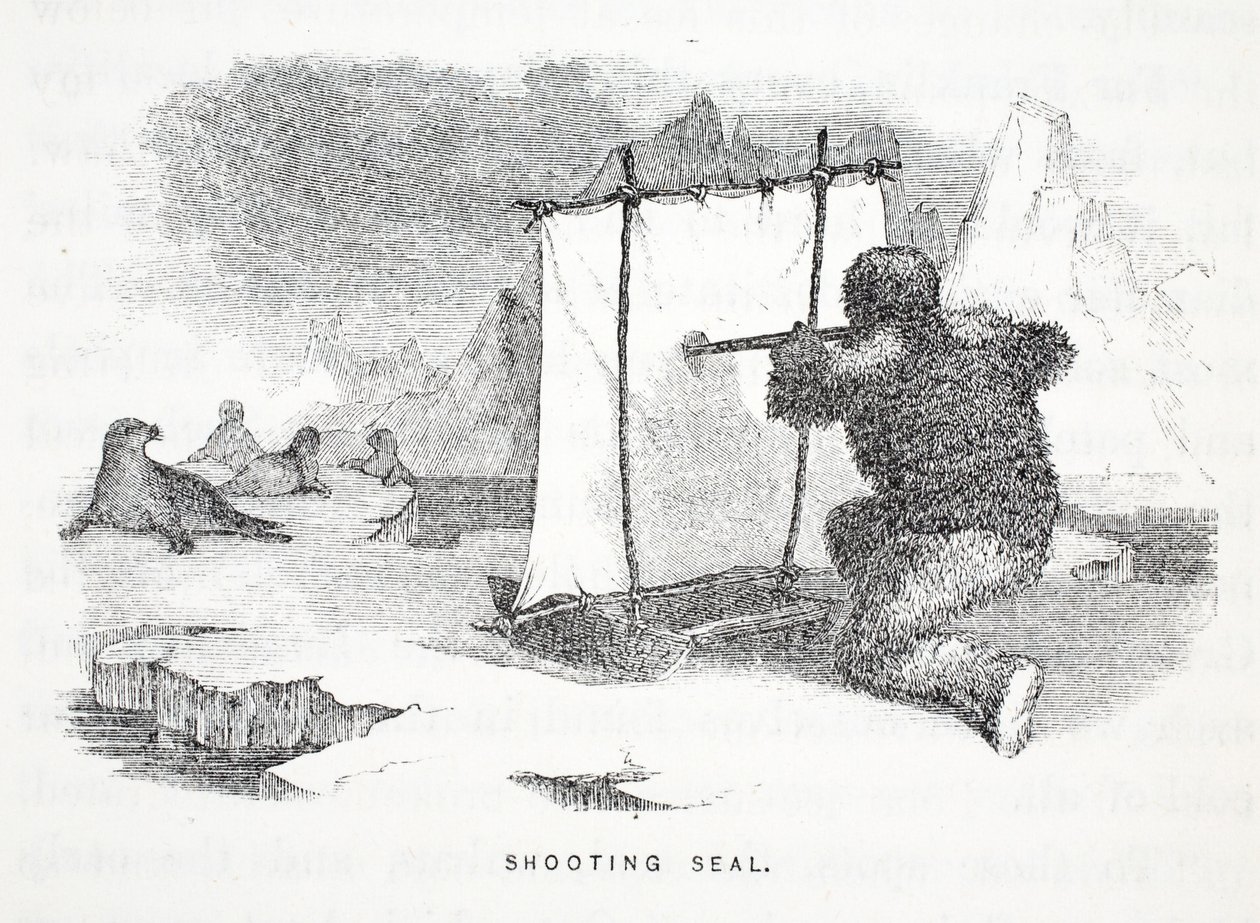 Shooting Seal, kuvitus teoksesta "Toinen Grinnell-retkikunta Sir John Franklinia etsimässä...", 1856 tekijältä Elisha Kane