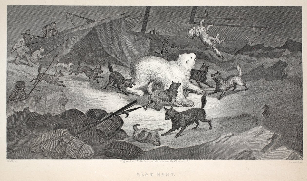 Bear Hunt, kuvitus teoksesta "Toinen Grinnell-retkikunta Sir John Franklinia etsimässä...", 1856 tekijältä Elisha Kane