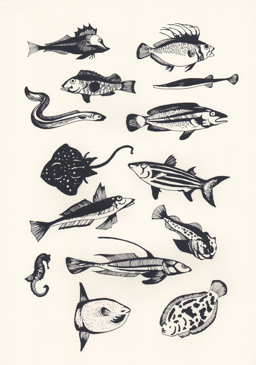 Monotone Plain Fish, 2015 (silkkipainatus) tekijältä Eliza Southwood