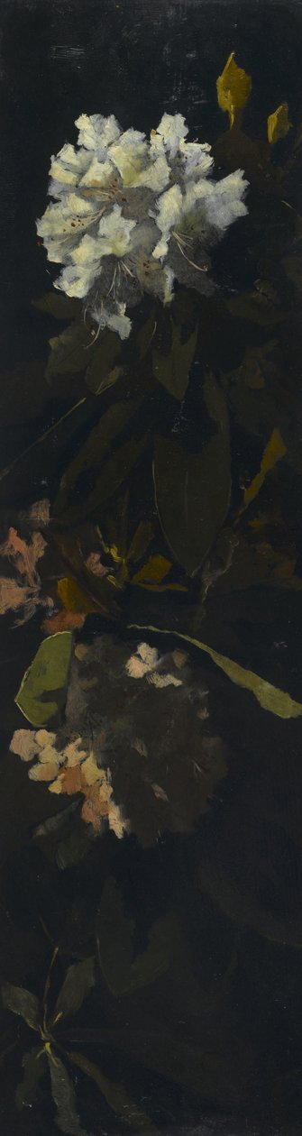 Rhododendronit tekijältä Elizabeth Boott Duveneck