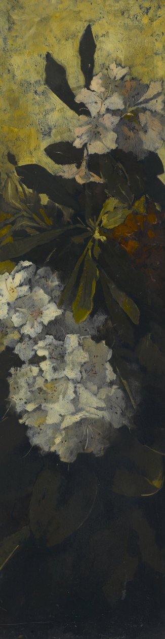 Rhododendronit tekijältä Elizabeth Boott Duveneck