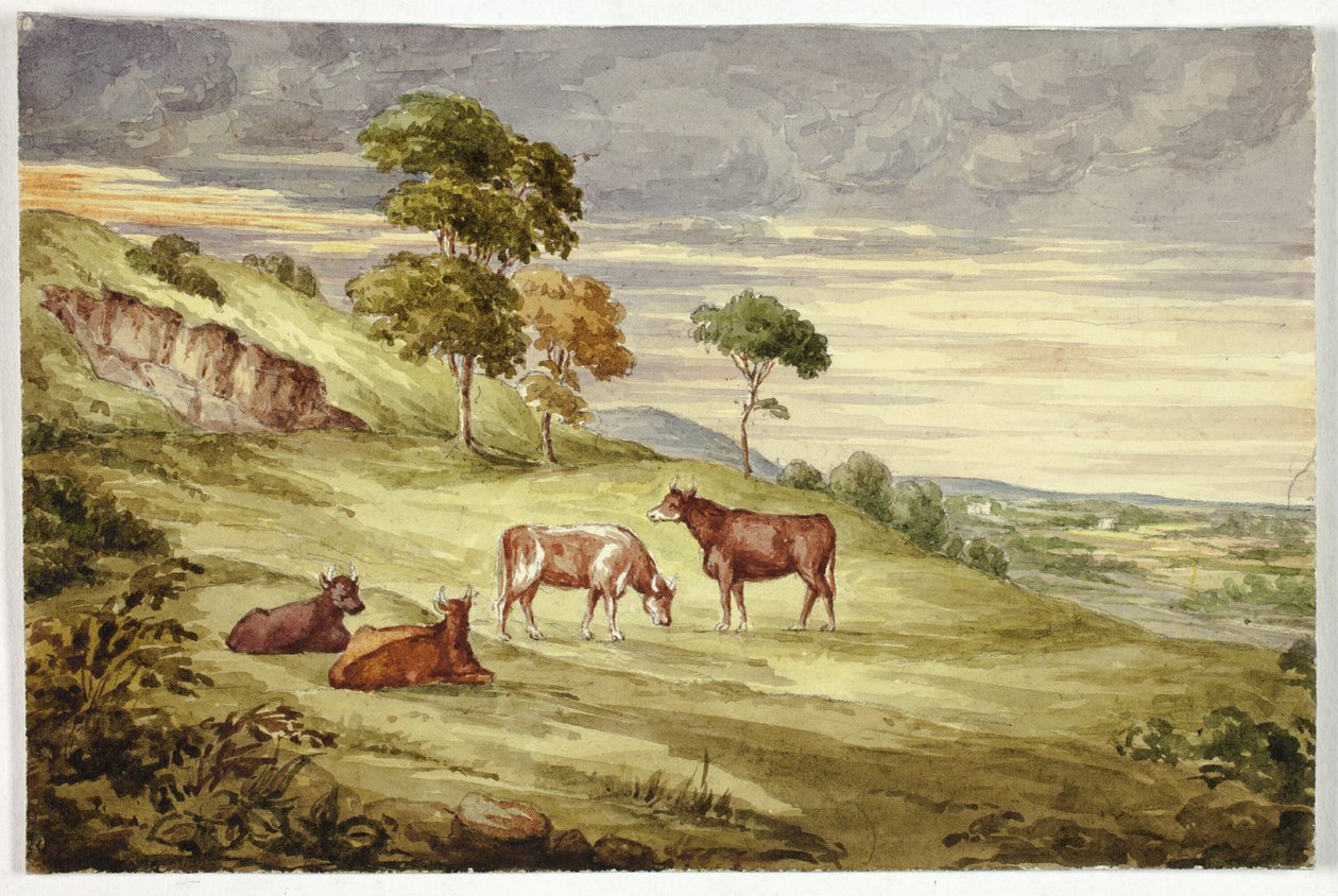 Deer Park, mahdollisesti Kilkenny tekijältä Elizabeth Murray