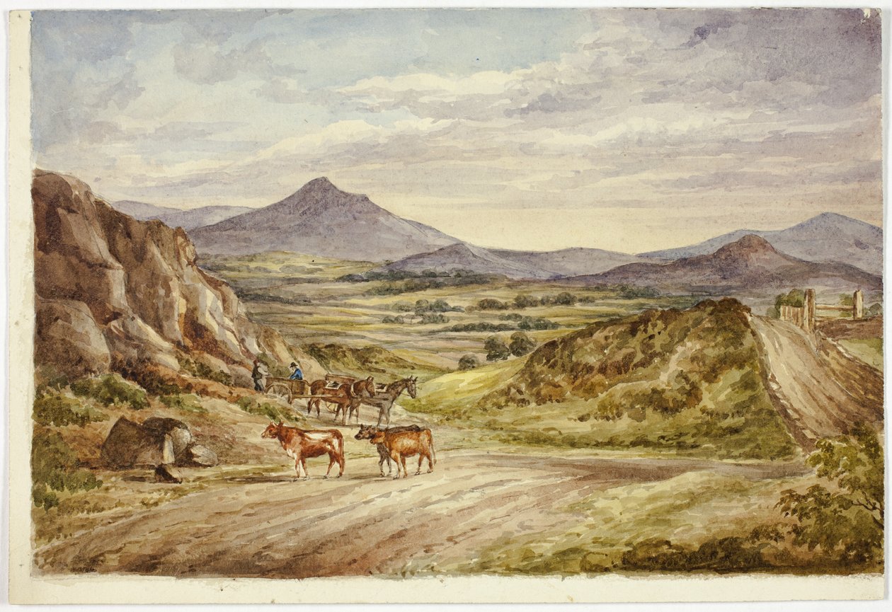 Wicklow Hills tekijältä Elizabeth Murray