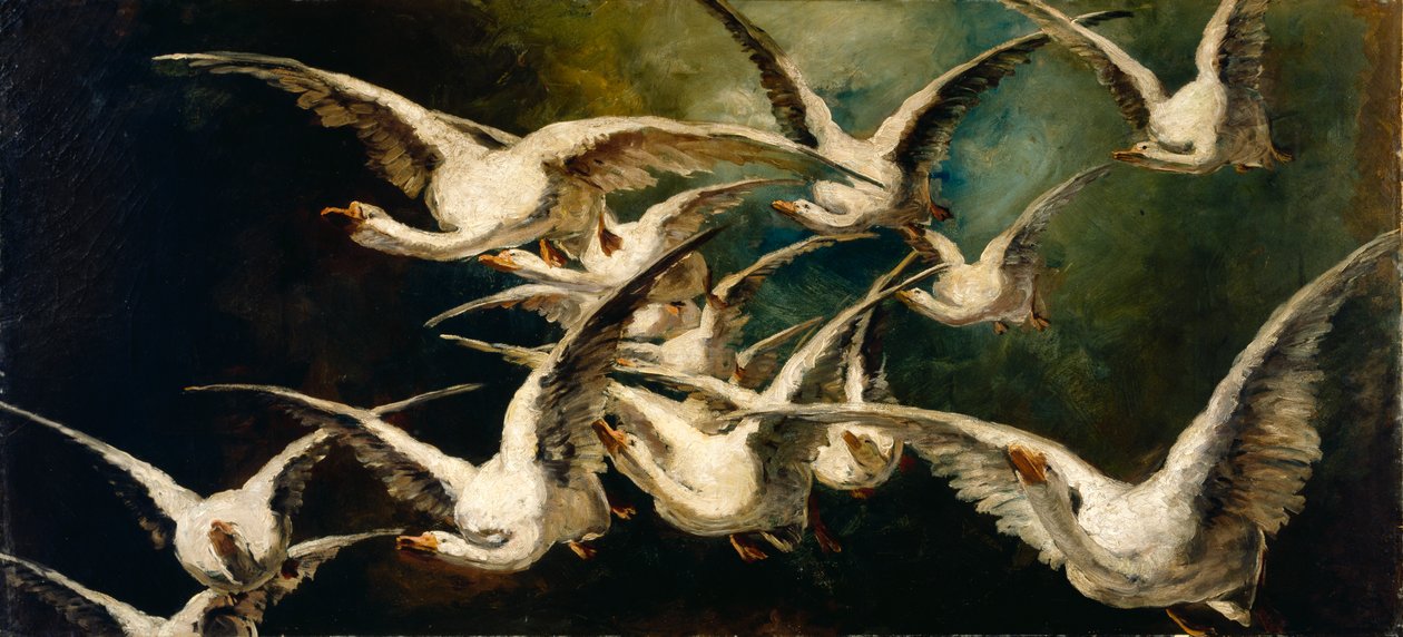 Hanhiparvi, n. 1883. tekijältä Elizabeth Nourse