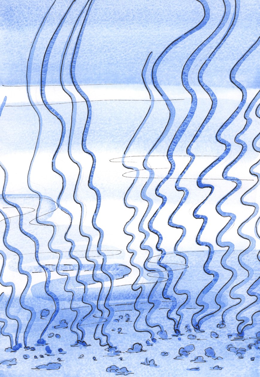 Hengellisen matkan alussa sielu muistuttaa sitä osaa merenpohjasta, jonka rikkaruohot tekevät "läpäisemättömäksi", 2002 (paperilla) tekijältä Elizabeth Wang