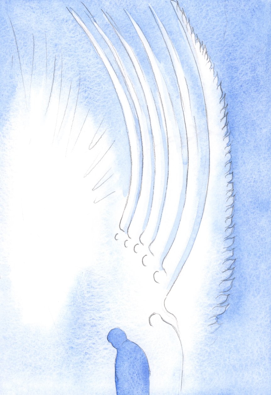 Sanctuksen aikana pyhät enkelit, pitkät ja säteilevät, kumartuivat palvonnassa Kristuksen edessä, joka oli saapumassa maailmaamme, 2002 (paperilla) tekijältä Elizabeth Wang