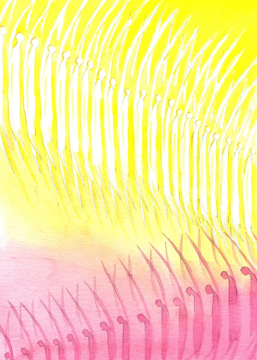 Taivaallinen isäntä, 2001 (w/c paperilla) tekijältä Elizabeth Wang