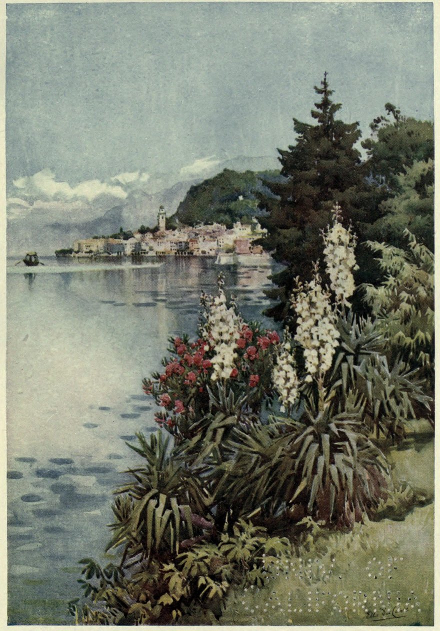 Ryhmä Yuccoja, Villa Melzi, Lago di Como, Kuvitus Richard Bagotin teoksesta "Italian järvet" tekijältä Ella Du Cane