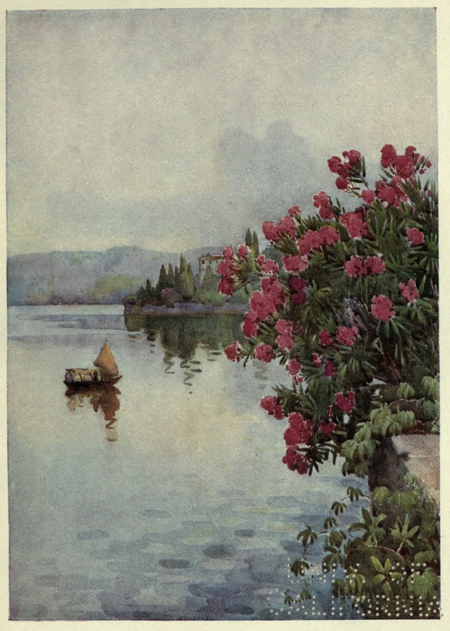 Oleanders, Lago di Como, kuvitus Richard Bagotin teoksesta "Italian järvet". tekijältä Ella Du Cane