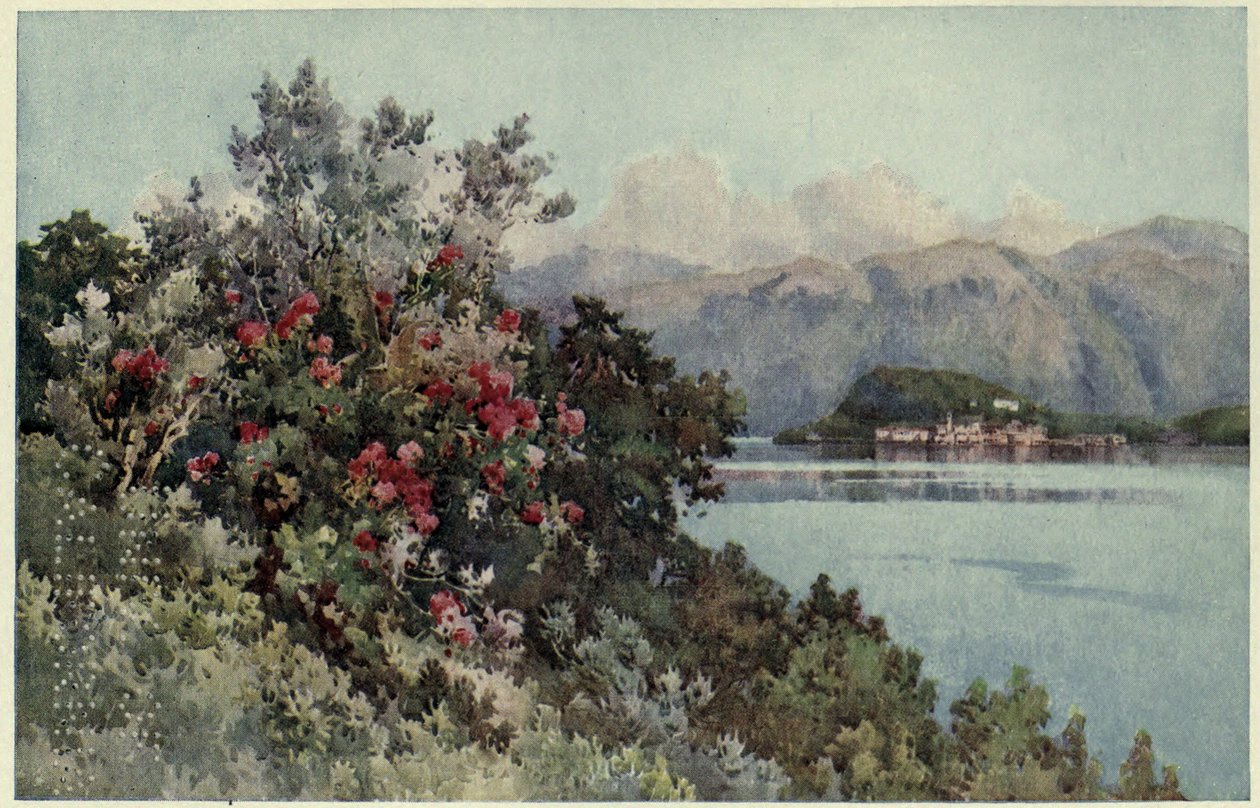 Ruusut, Villa Carlotta, Lago di Como, Kuvitus Richard Bagotin teoksesta Italian järvet tekijältä Ella Du Cane