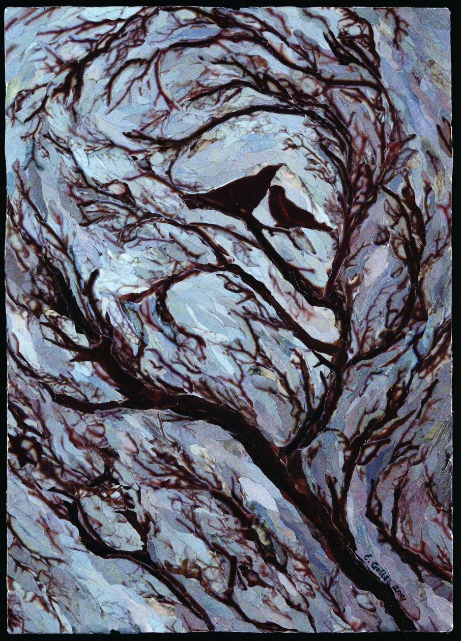 Stormy Day, Greenwich Park, 2001 (paperimosaiikkikollaasi) tekijältä Ellen Golla