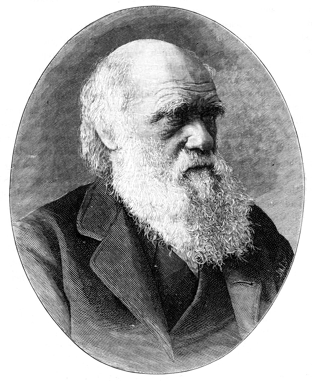 Charles Darwin, 1800-luvun englantilainen luonnontieteilijä, 1900. tekijältä Elliott and Fry