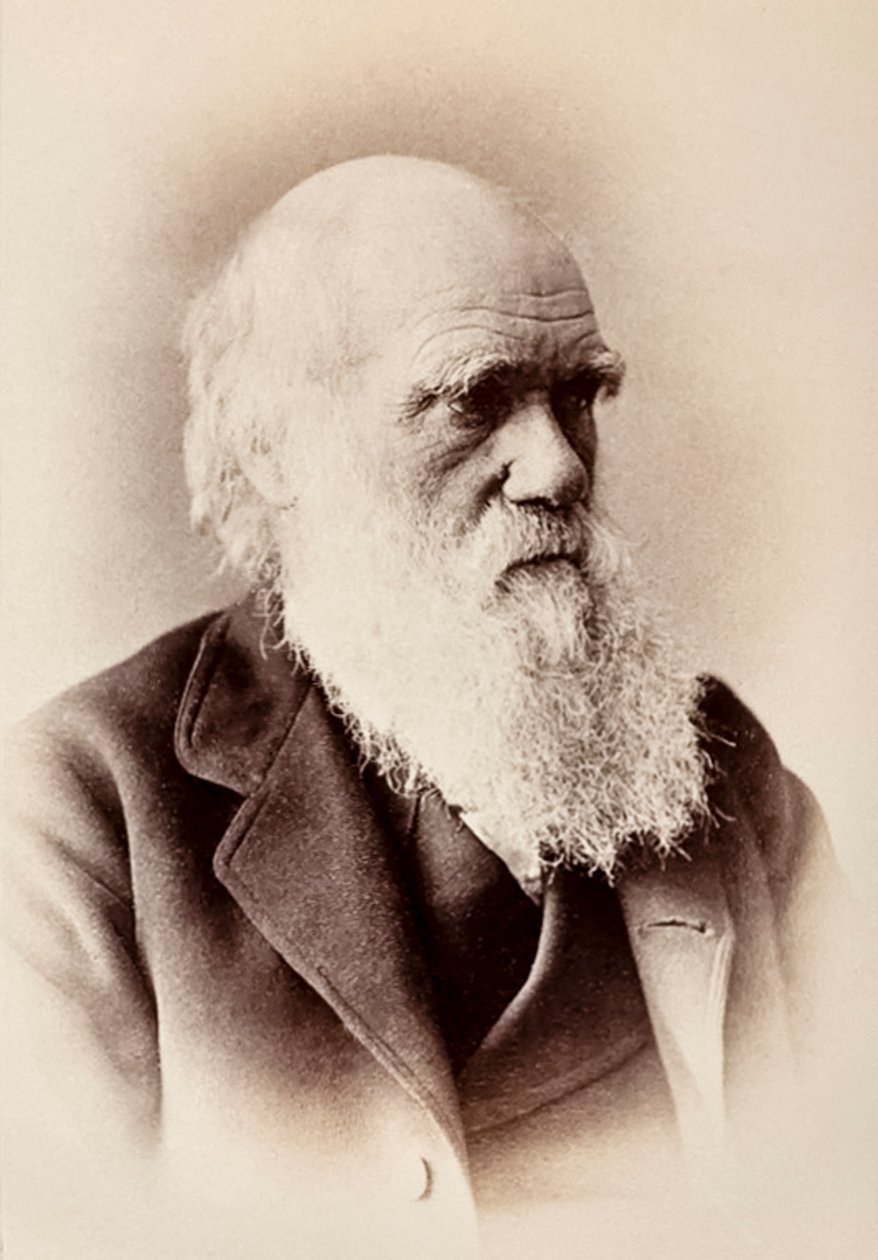 Charles Darwin: englantilainen luonnontieteilijä tekijältä Elliott und Fry Studio