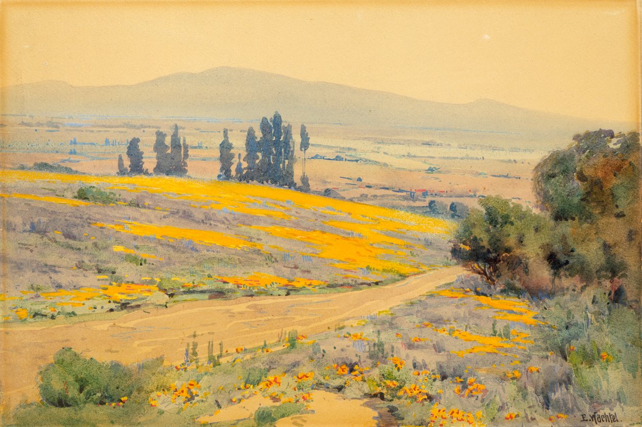 Kalifornian kevätmaisema, n. 1920. tekijältä Elmer Wachtel