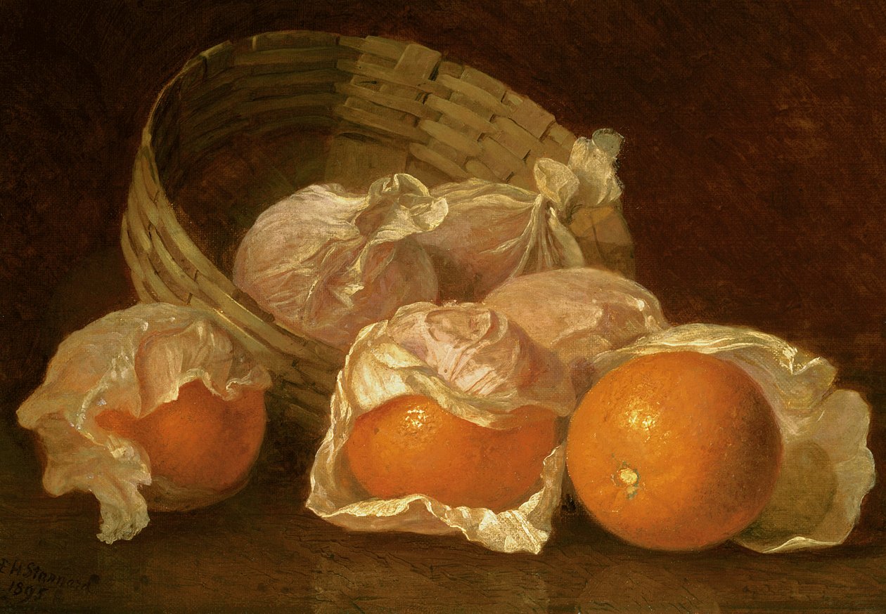 Appelsiinikori, 1895 tekijältä Eloise Harriet Stannard