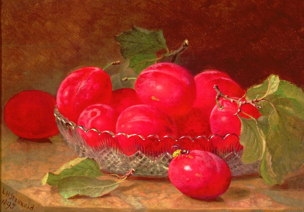 Asetelma, 1895 tekijältä Eloise Harriet Stannard