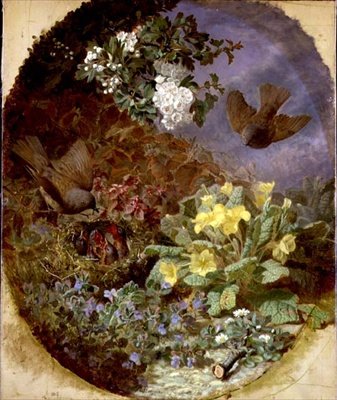 Wrens ruokkimassa poikasiaan pesässä (s. & k. 1876) tekijältä Eloise Harriet Stannard