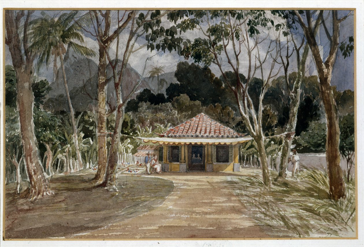 Old Way, Rio de Janeiro, 1830 tekijältä Emeric Essex Vidal