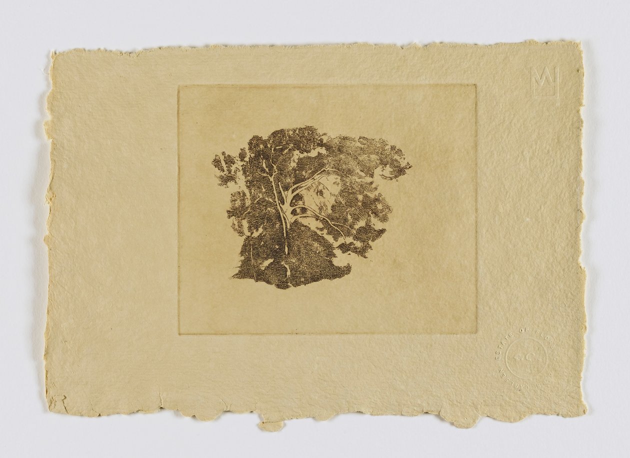 Puututkimus (fm. portfolio) tekijältä Emil Carlsen