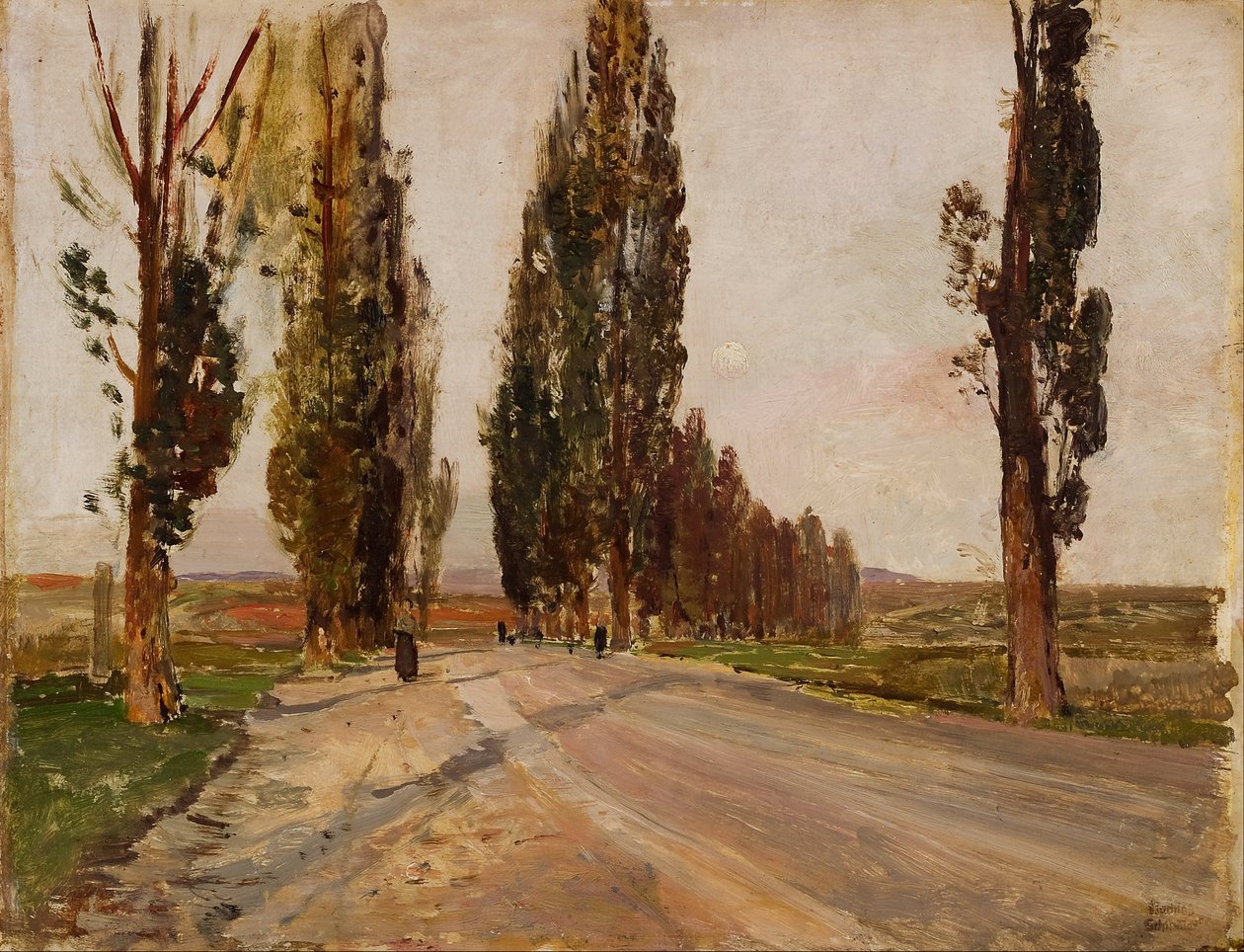 Poplar avenue lähellä Plankenbergiä tekijältä Emil Jakob Schindler