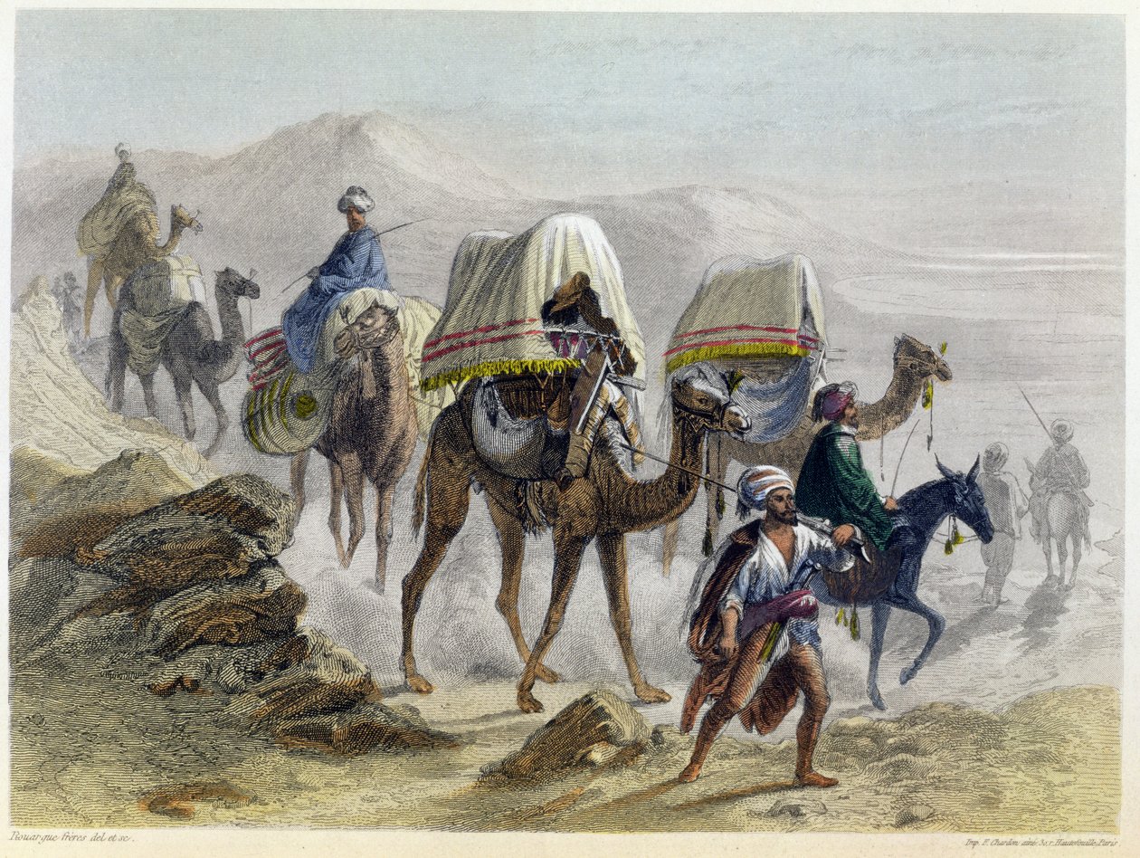 Kamelijuna, "Konstantinopoli ja Mustameri", Rouerguen veljesten kaivertama, 1855 tekijältä Emile and Rouergue Rouergue