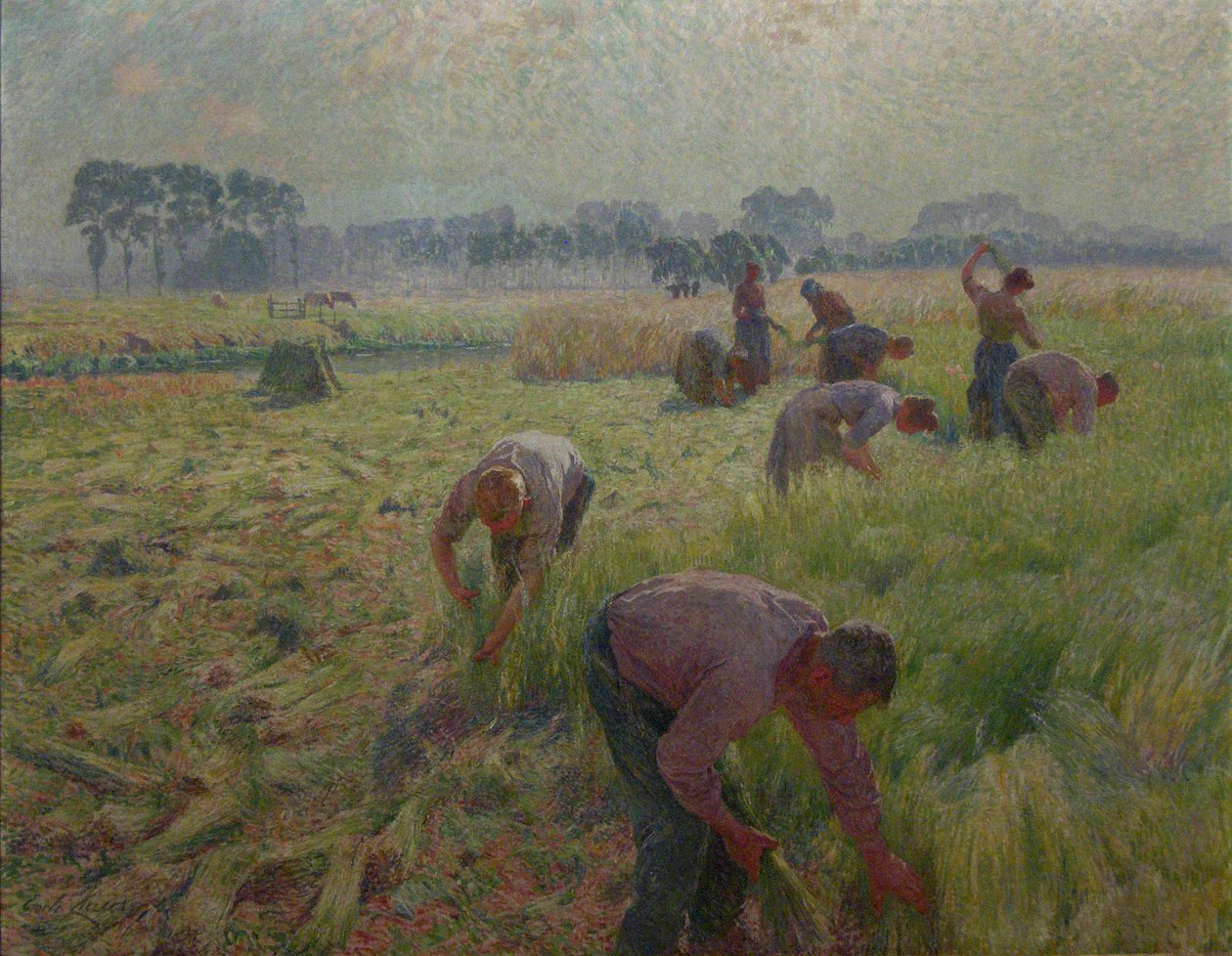 Pellavan korjuuNederland: De vlasoogstn tekijältä Emile Claus