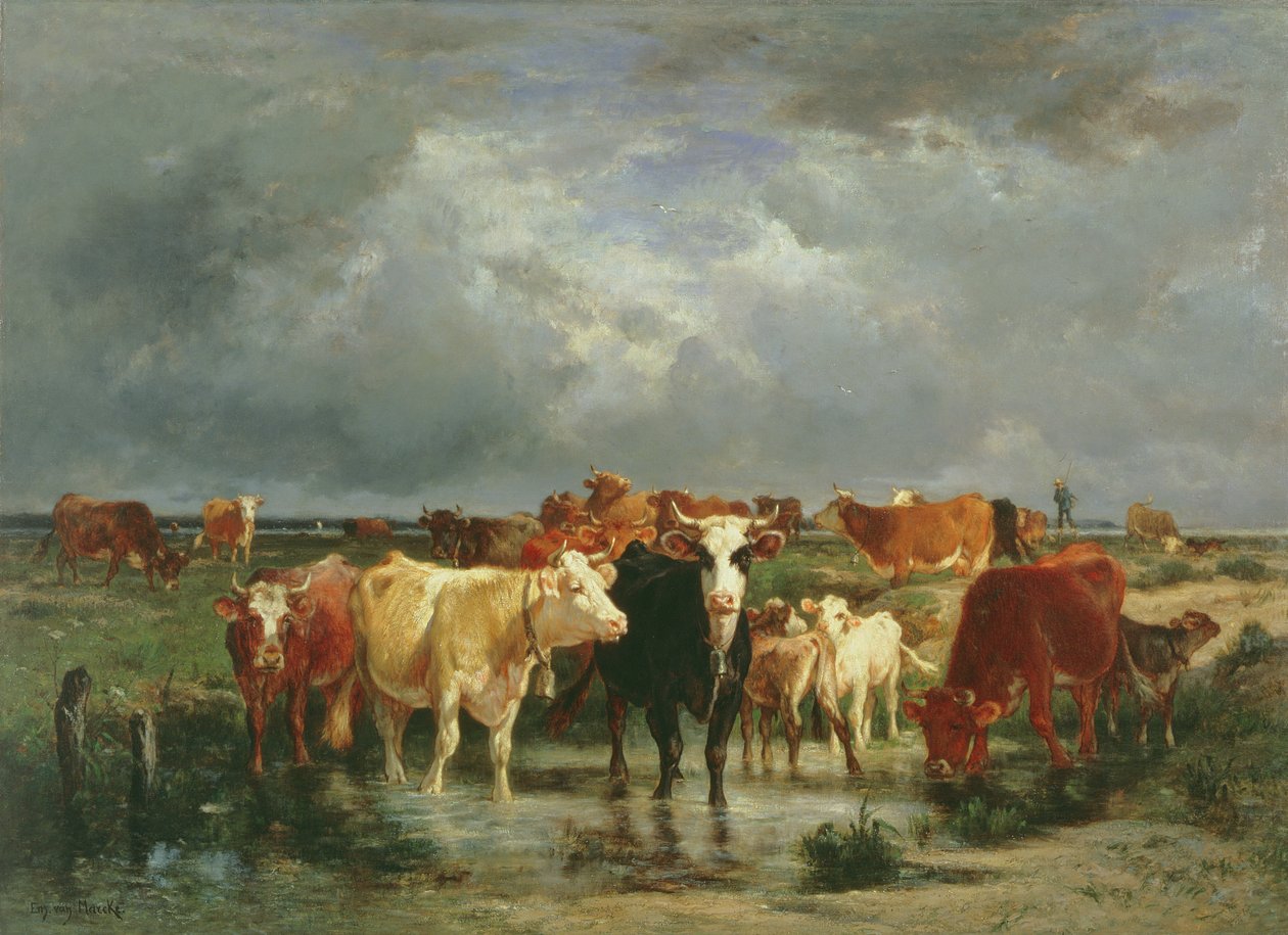 Myrskyn lähestymistapa tekijältä Emile van Marcke de Lummen
