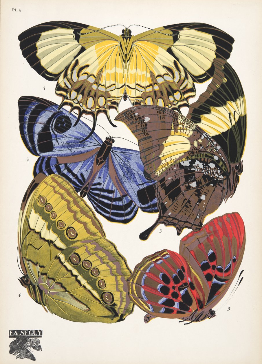 Lauta 4, Butterflies, pub. 1925 (stensiiliprintti) tekijältä Émile Allain Séguy