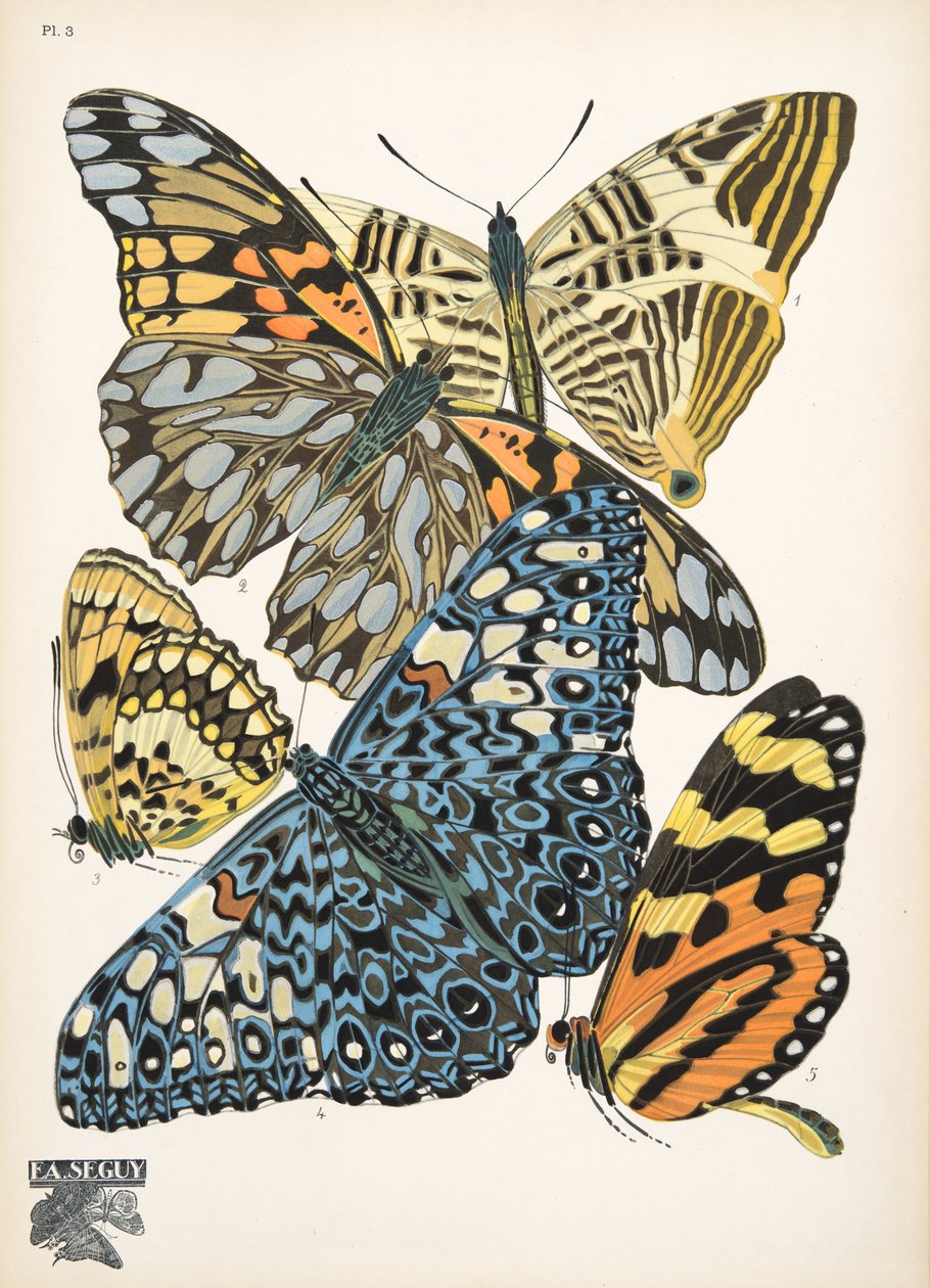 Lauta 3, Butterflies, pub. 1925 (stensiiliprintti) tekijältä Émile Allain Séguy