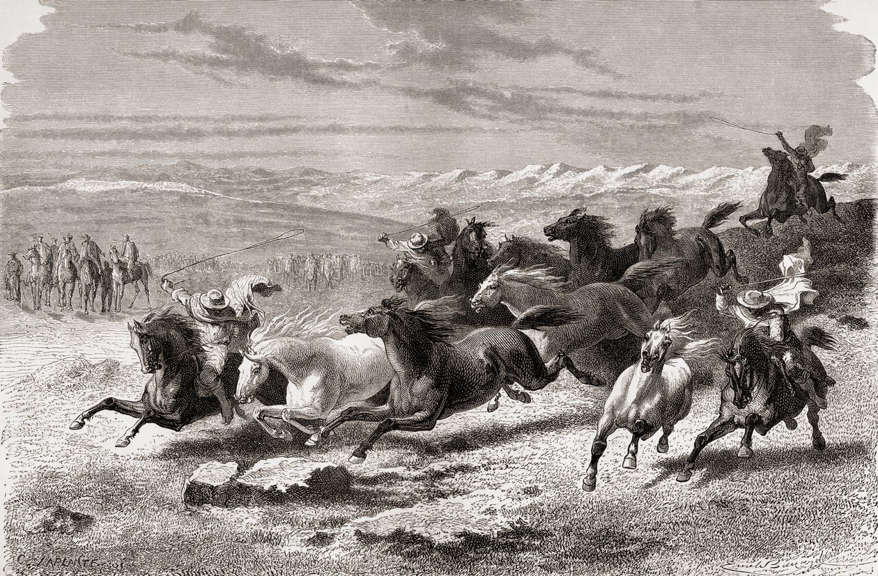 Argentiinalaiset gauchot keräävät villihevosia, kuvitus teoksesta "The World in the Hands", kaiverrettu Charles Laplante (k.1903), julkaistu 1878 tekijältä Emile Antoine Bayard