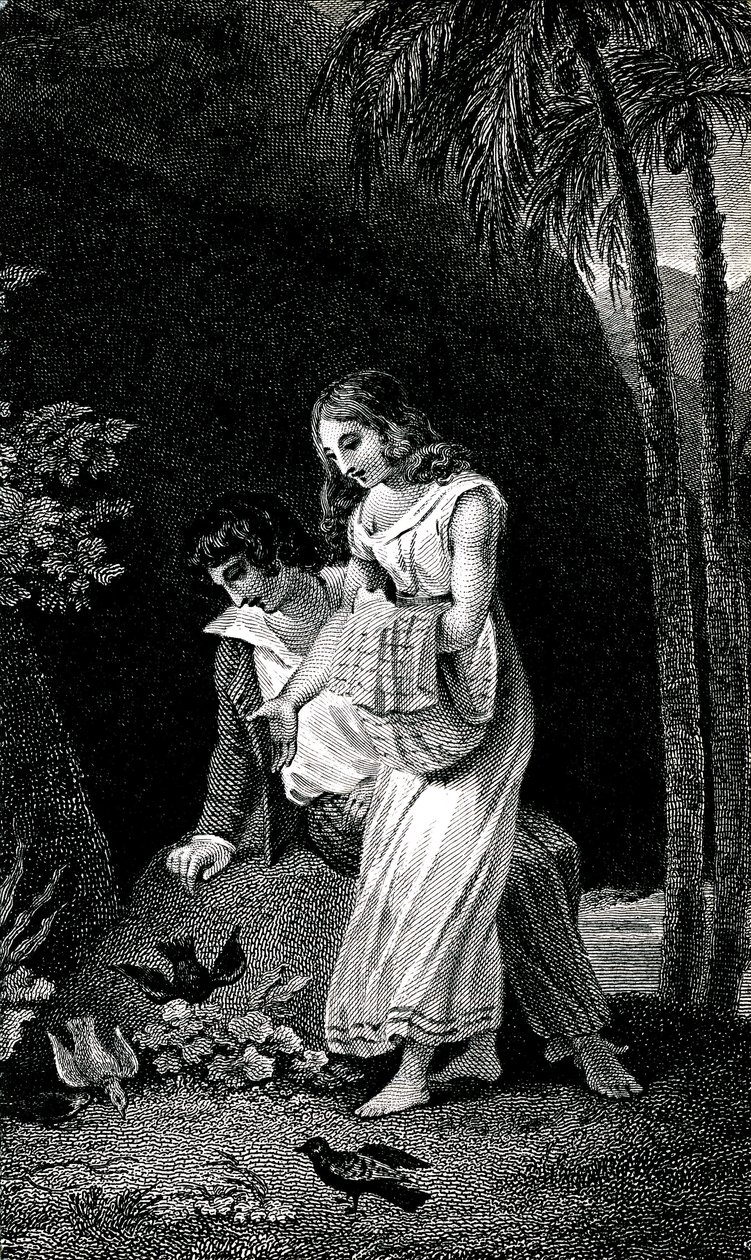 Kaiverrus, joka kuvaa Jacques-Henri Bernardin de Saint-Pierren (Jacques Henri Bernardin de Saint-Pierre) romaanin 1800-luvun lopun painosta: Paul et Virginie. Linnut tulevat pelkäämättä maihin nuoren rakastajaparin lähelle metsässä. Piirustus b tekijältä Emile Antoine Bayard
