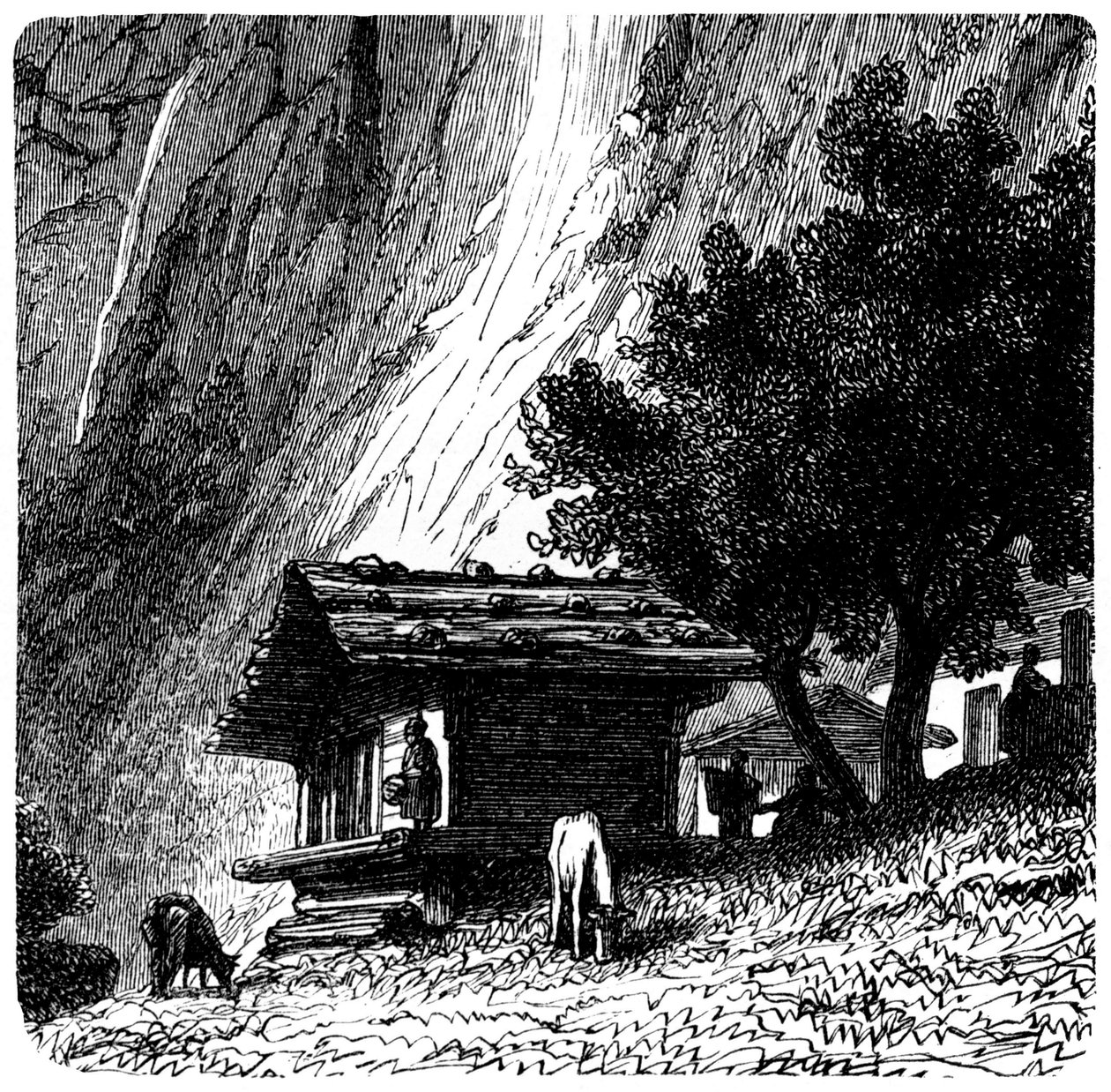Näkymä Alpeille: vanha chalet kallion juurella lehmien laiduntaessa (laitumella). Emile Bayardin kuvitus (yksityiskohta) kirjalle Les Montagnes d