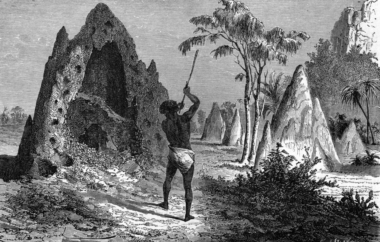Sotaisten termiittien kylä (termitiere), Afrikka. Kaiverrus 1897 tekijältä Emile Antoine Bayard