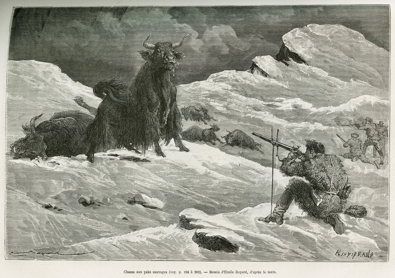 Villi jakinmetsästyskohtaus, Emile Bayardin piirros havainnollistamaan everstiluutnantti Przewalskin matkaa Mongoliaan ja Tangoutien maahan vuosina 1870–1873. Kaiverrus kirjassa Le tour du monde tekijältä Emile Antoine Bayard