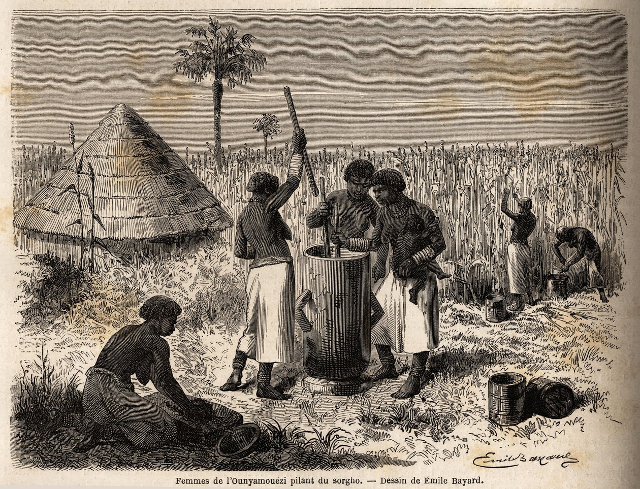 Naiset iskevät durraa ounyamouezissa (Suurten järvien alue, Afrikka), Emile Bayardin (1837-1891) piirros, joka kuvaa kapteeni Speken löytömatkaa Afrikassa vuosina 1860-1863. Kaiverrus "" Le tour du monde"", toimitettu Kirjailija: Edouard Charton tekijältä Emile Antoine Bayard