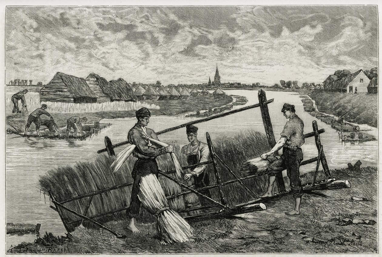 Pellavan ruoste (maserointi, joka helpottaa kuoren irtoamista varresta) Lysissä (joki Ranskan ja Belgian pohjoispuolella). Kaiverrus Emile Claus, havainnollistamaan tarinaa "" La Belgique", kirjoittaja Camille Lemonnier (1844) -1913), kirjailija ja taidekr tekijältä Emile Claus