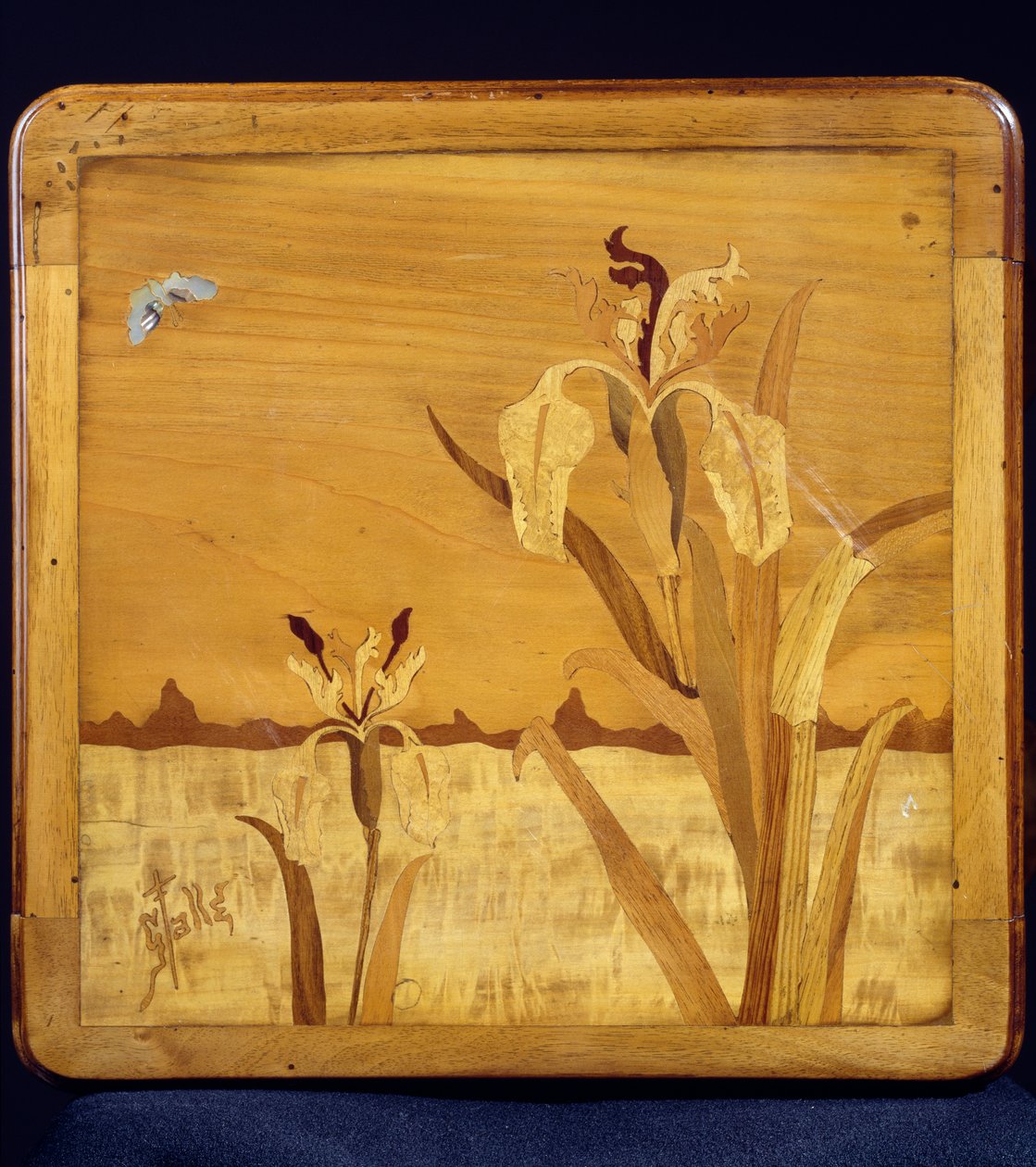 Art nouveau -tyylinen pöytä, Emile Galle (1846-1904), pähkinä, viiluviimeistely ja erilaisia puulajeja, yksityiskohta, Ranska, 1900-luku tekijältä Emile Galle