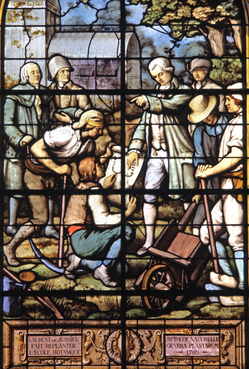 Jussieu replanta a Escola de Botânica, c.1885 (vitral)finlandês tekijältä Emile Hirsch