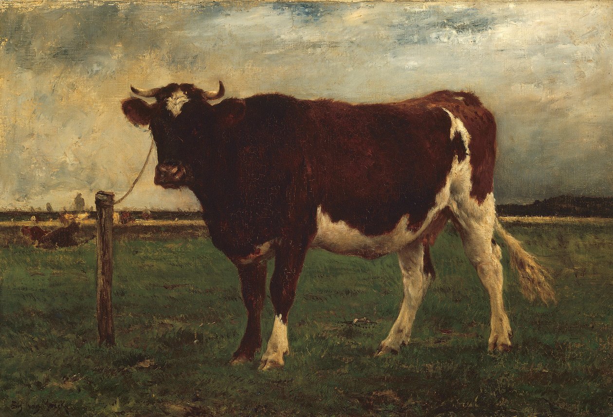 Lehmän tutkimus tekijältä Emile van Marcke de Lummen