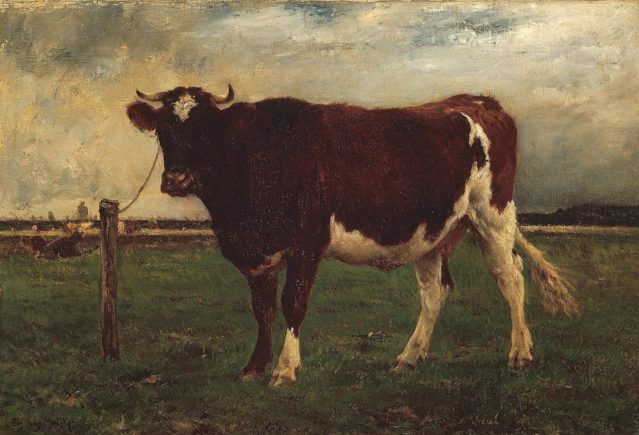 Lehmätutkimus, 1870-90 tekijältä Emile van Marcke de Lummen