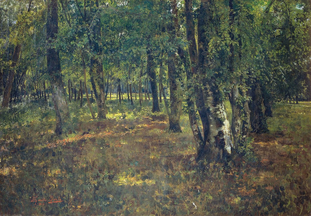Puu, Emilio Borsa (1857-1931) tekijältä Emilio Borsa